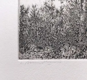 Willem Minderman - Boom tussen struiken, ets kopen? Bied vanaf 45!