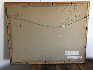 Arien Seger - Boerenveld kopen? Bied vanaf 40!