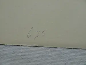 Anton Heyboer - Pastel , ‘Can Can’ – 51 x 70 cm. kopen? Bied vanaf 100!