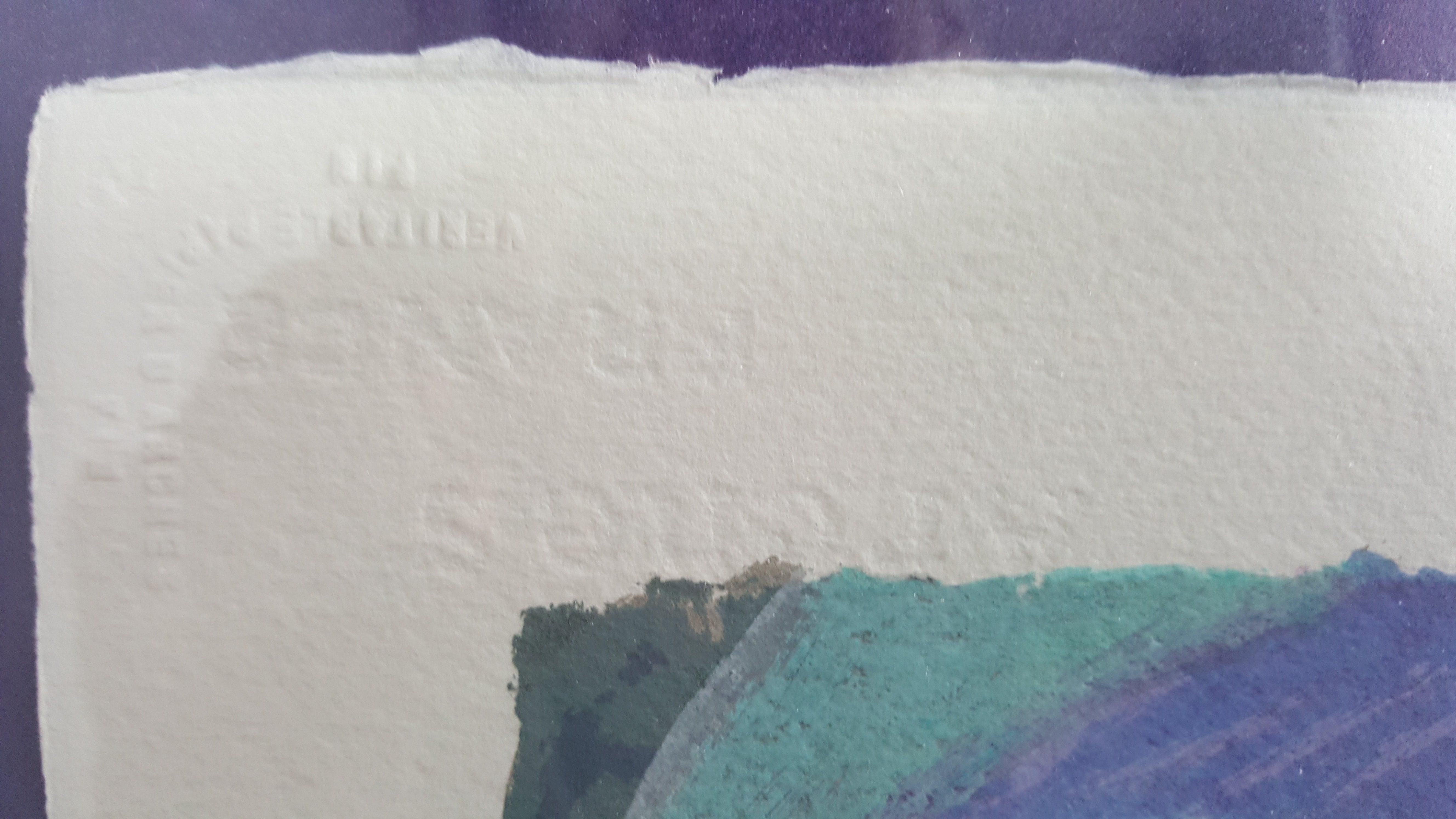 Annemarie de Groot - Chinese Tuin Annemarie de Groot  kopen? Bied vanaf 125!