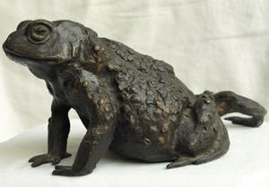 Niet of onleesbaar gesigneerd - Bronzen beeld , Kikker / Pad kopen? Bied vanaf 10!