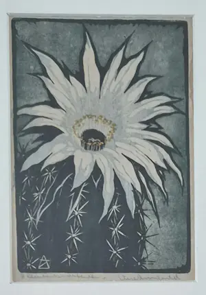 Arie Zonneveld - Bloeiende cactus - charmant lijstje kopen? Bied vanaf 195!