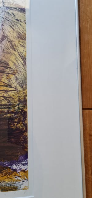 Hans Vredegoor - Handgesigneerde kleurenets CLXXVI ( ingelijst ) kopen? Bied vanaf 60!