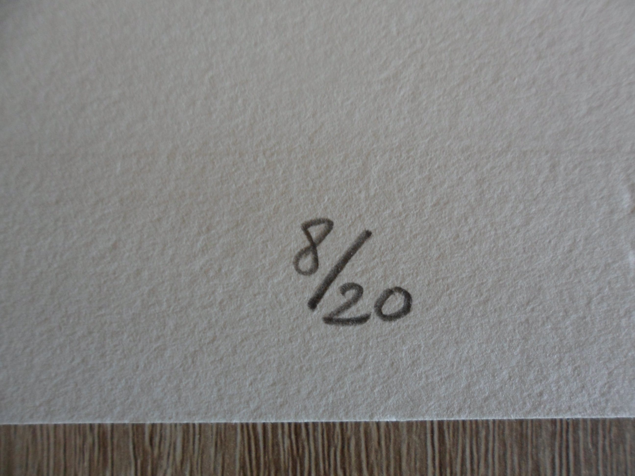 Ko Aarts -  Zeefdruk, Titel: "Finishing touch". kopen? Bied vanaf 30!