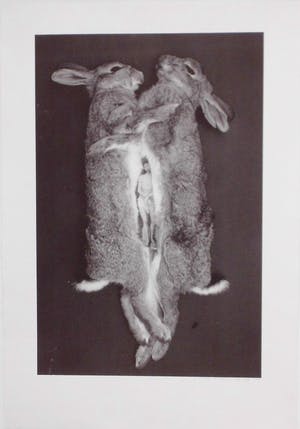 Marc Mulders - Titel: Ark kopen? Bied vanaf 150!