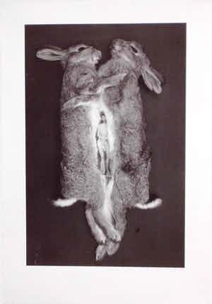 Marc Mulders - Titel: Ark verkocht voor € 150!