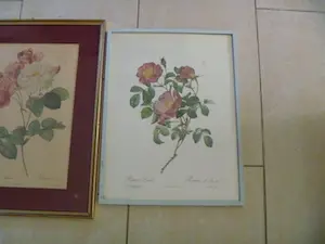 Pierre-Joseph Redoute - Drie ingelijste litho's Rozen kopen? Bied vanaf 26!