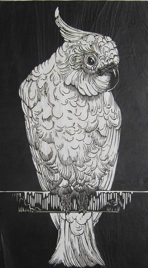 Jan Schonk - 2 houtsnedes "Kaketoe" en "twee reigers". kopen? Bied vanaf 35!