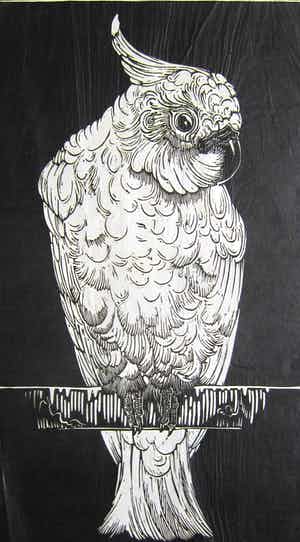 Jan Schonk - 2 houtsnedes "Kaketoe" en "twee reigers". verkocht voor € 35!