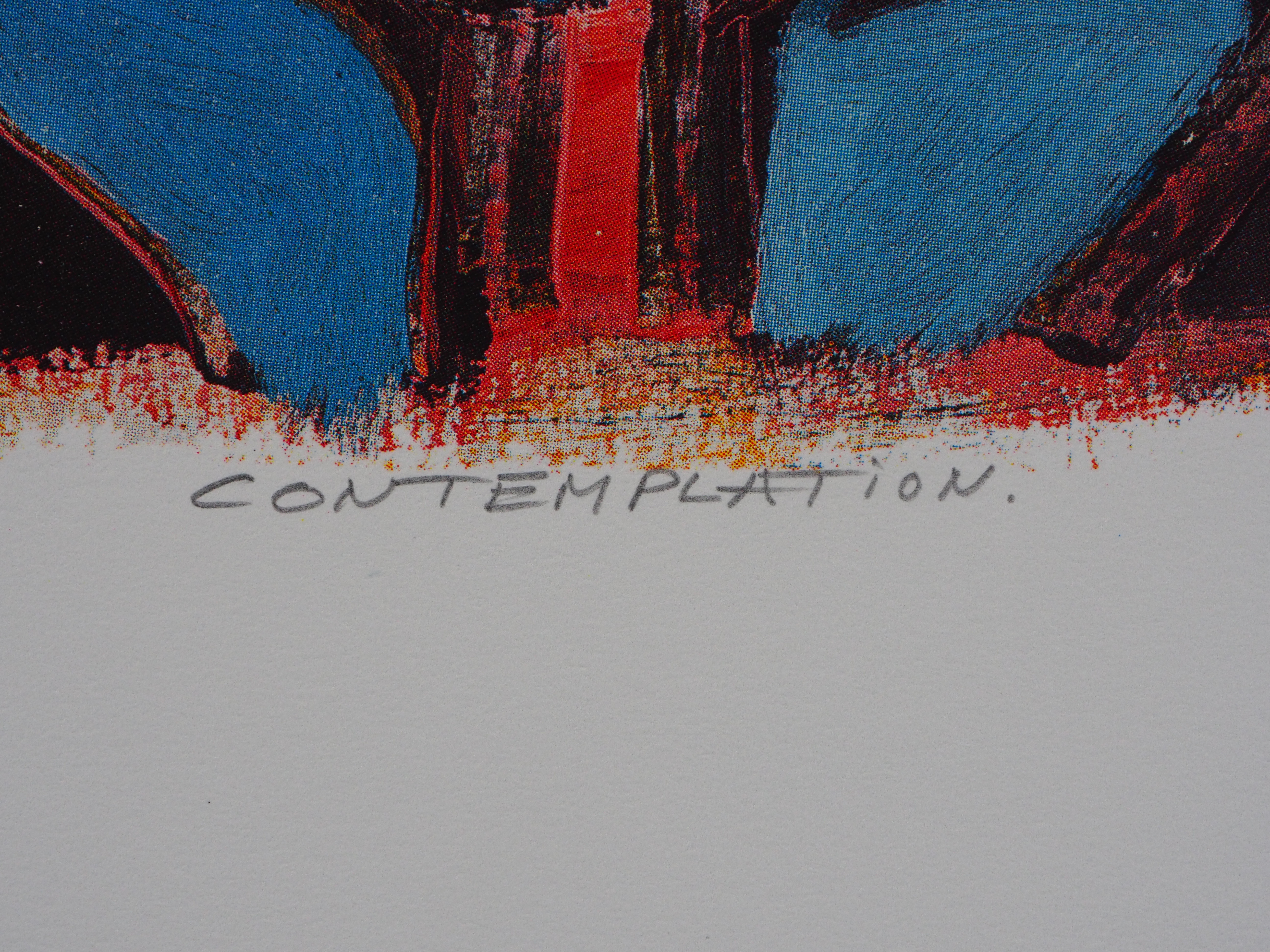 Cor de Jong - Contemplation kopen? Bied vanaf 20!