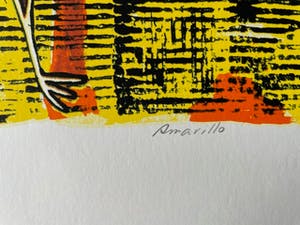 Ans van Dijk - Amarilo kopen? Bied vanaf 15!