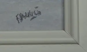 Franklin Meijer - Visjes vangen kopen? Bied vanaf 49!