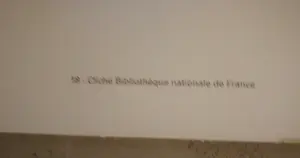 Theophile Alexandre Steinlen - Chat Noir. kopen? Bied vanaf 1!