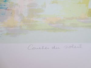 Nicole Schaap - coucher du soleil kopen? Bied vanaf 45!