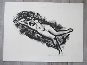 Wim Zwiers - Liggend naakt - Litho kopen? Bied vanaf 55!