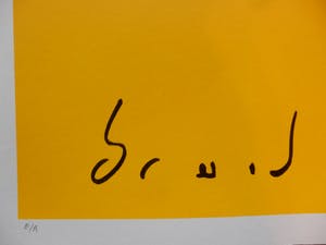 Herman Brood - Kleurenzeefdruk ROCKET SCIENTIST Handgesigneerd--GROOT!!! kopen? Bied vanaf 1!