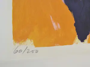 Jan Cremer - Tulpen IV - 18/200 - 1999 - Handgesigneerd kopen? Bied vanaf 300!