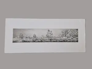 Gerard van Rooy - grote "panorama" Ets (vd drukker) "oud Erf" - beperkte oplage (28/75) kaufen? Bieten Sie von 40!