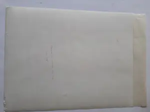 Theo van Hoytema - Litho, 'Apen' kopen? Bied vanaf 35!