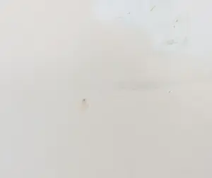 John Lie a Fo - Gemengde techniek op papier, Begrafenisrite Caraiben (Zeer groot) kopen? Bied vanaf 1!