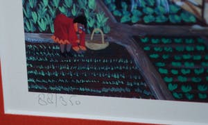 Fred Breebaart - Landhuis Brievengat, Curacao kopen? Bied vanaf 45!