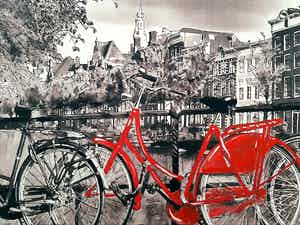 Elena Polyakova - Red bike in Amsterdam verkocht voor € 45!