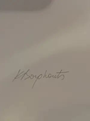 Karin Borghouts - KMSKA kopen? Bied vanaf 85!