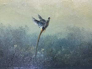 Niet of onleesbaar gesigneerd - Vreemde vogel. kopen? Bied vanaf 1!