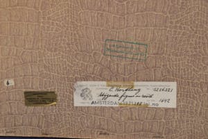 Cees Kortlang - Stijgende figuur in rood, 7/10, 1971 - kleurenets op papier - BKR Amsterdam kopen? Bied vanaf 20!