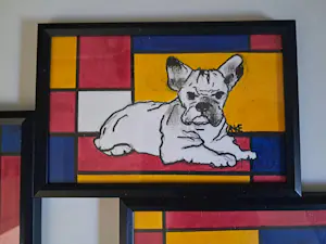 Anke Peddemors - Vierluik honden kopen? Bied vanaf 30!