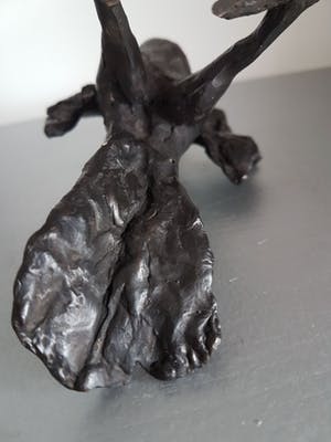 Brons (Onbekend) - Hennie van Leeuwen " Rare vogel " incl certificaat van echtheid kopen? Bied vanaf 150!