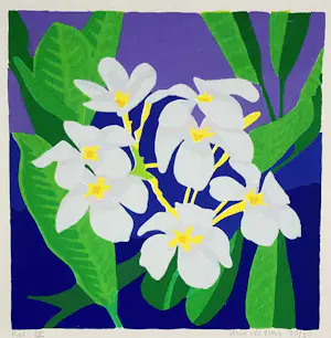 Henk van der Plas - Bali V ( met lijst!) kopen? Bied vanaf 55!