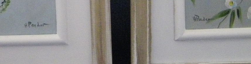 Henk Poeder - vogels kopen? Bied vanaf 60!