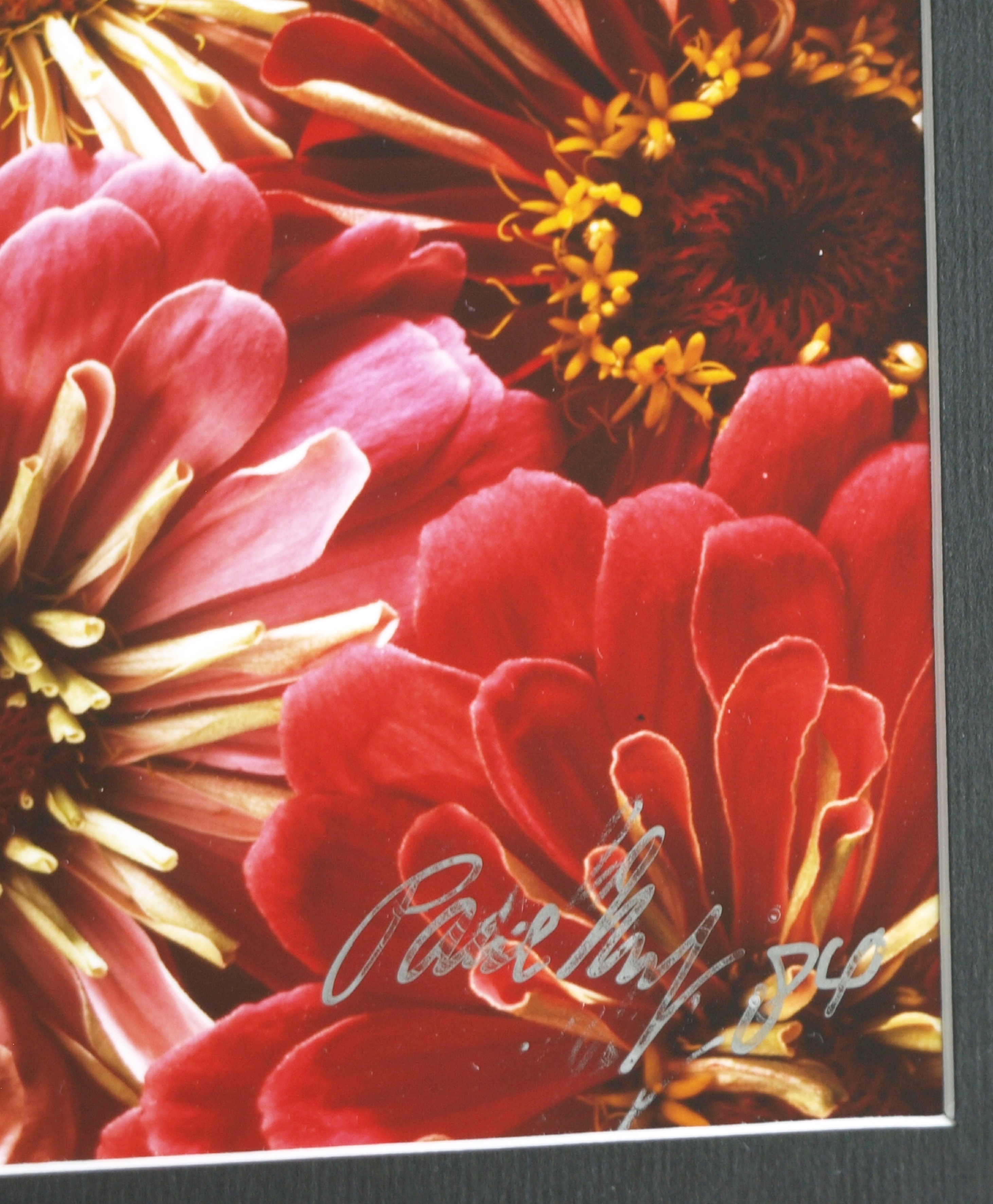 Paul Huf - Foto , Flowers , Bloemen – gesigneerd & ingelijst - 1984 - 60 x 50 cm kopen? Bied vanaf 75!