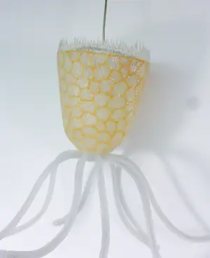 Jürgen Reichert - Siliconen hanglamp, Stentea Aurea kopen? Bied vanaf 150!