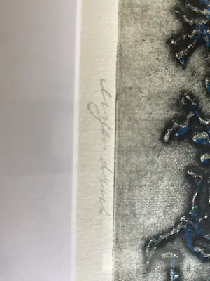 Niels van Spaendonck - De Rode hond kopen? Bied vanaf 100!