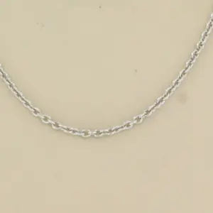950pt Platina ketting - 50 cm - 5.0 gram kopen? Bied vanaf 340!