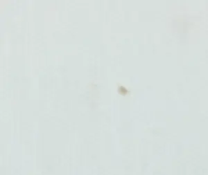 Menno Meijer - Lot van drie 3d-geometrisch-abstracte werken in gemengde techniek (verf, metaal) kopen? Bied vanaf 50!