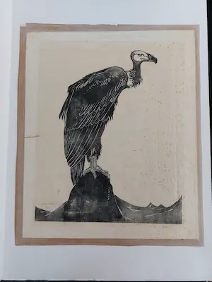 Willem van den Berg - Houtsnede Gier kopen? Bied vanaf 60!