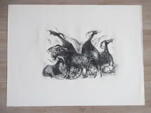 Kees Andrea - Geiten Spanje - Litho kopen? Bied vanaf 38!