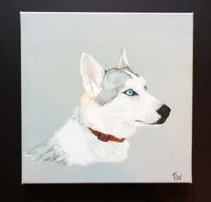 Niet of onleesbaar gesigneerd - Schilderij Acrylverf op doek HUSKY verkocht voor € 1!
