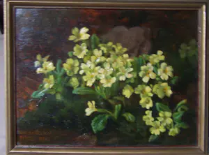 Ad Blok van der Velden - Stengelloze sleutelbloemen Texel kopen? Bied vanaf 300!