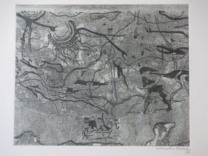 Wout van Heusden - Diepzeegebeuren - Ets kopen? Bied vanaf 40!