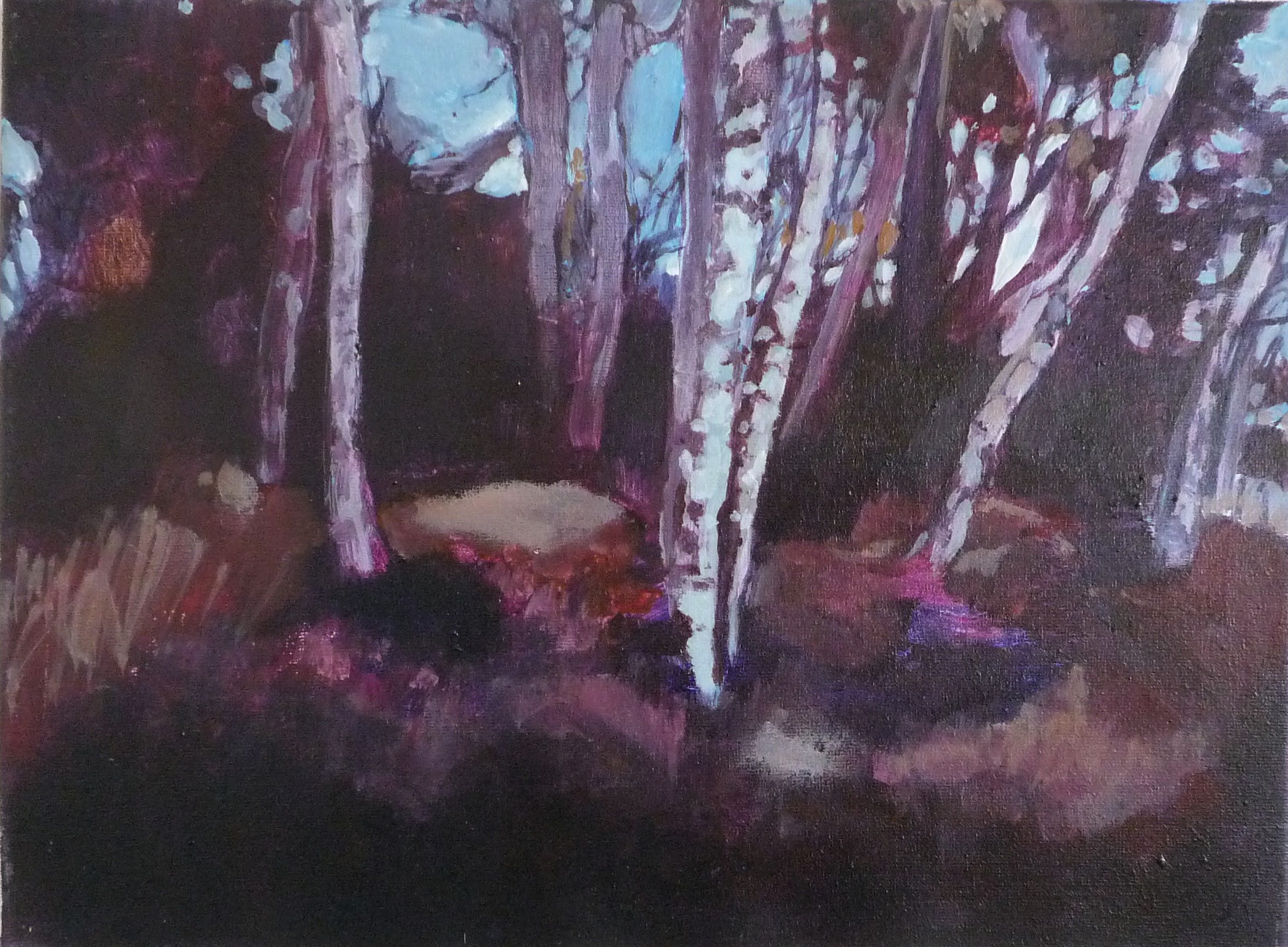 Irene van den Bos - Berkenbosje kopen? Bied vanaf 50!