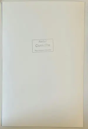 Corneille - Studie van een naakt - met echtheidscertificaat kopen? Bied vanaf 50!