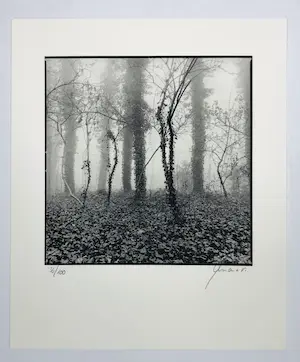 Ralph Janowski - zonder titel kopen? Bied vanaf 45!