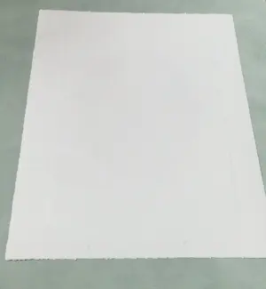 Henk Tichelaar - Grote, met ecoline gekleurde ETS "Bosprent" - kleine oplage (50) - gesigneerd kopen? Bied vanaf 38!