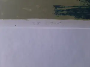 Daniel den Dikkenboer - Kleuren litho, Abstract werk, Stilleven. kopen? Bied vanaf 40!