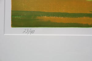 Frank Dekkers - houtsnede: landschap met bomen - 2001 (netjes ingelijst) kopen? Bied vanaf 70!