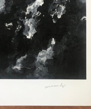 Armando - Giclée in zwart wit - 'Landscape' - 2016 - 30/30 - Gesigneerd kopen? Bied vanaf 125!